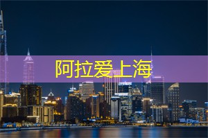 在灯下的舞蹈：城市夜晚的旋律